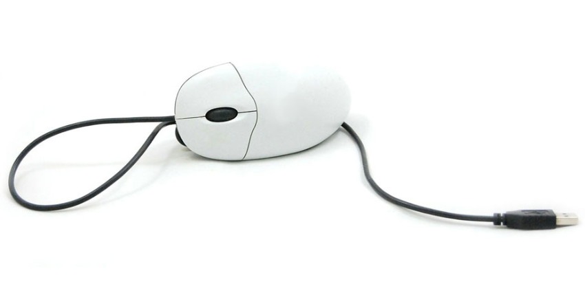 mouse.jpg